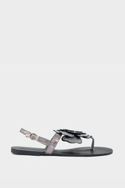 Casual Sandal IF2052-Black