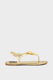 Formal Thong IF3019-Golden