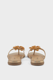 Formal Slip On IF0229-Rose Gold