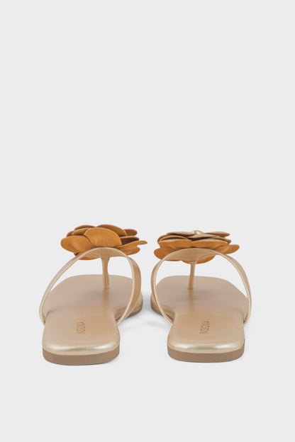 Formal Slip On IF0292-Gold