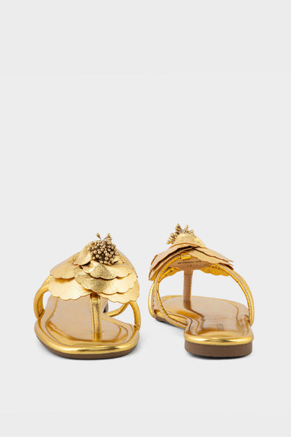 Formal Thong IF3020-Golden