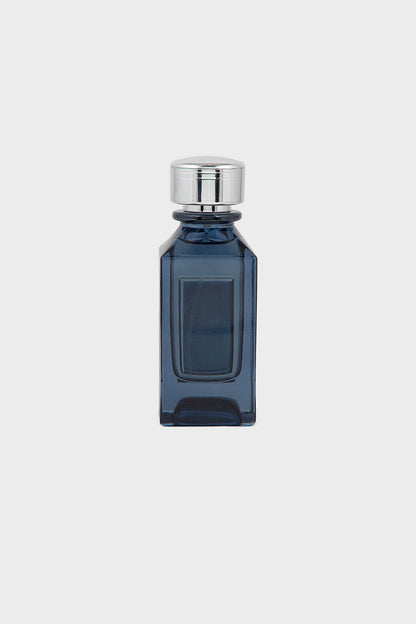 Silver Eclipse 100ML E20022-Him